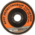 Круг лепестковый торцевой по металлу 115x22 мм, P60 SANTOOL 060203-115-060