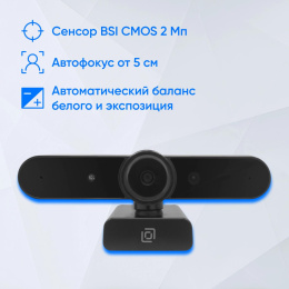 Web-камера Oklick OK-C031FH,  черный