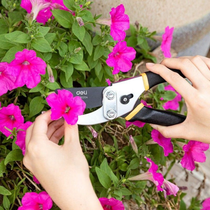 Секатор садовый Deli DL580204 лезвия с тефлоновым покрытием, длина 200мм, макс.диаметр резки 15мм, сталь 55С