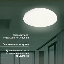 Умный светильник Digma TopLight TL25 потолочный