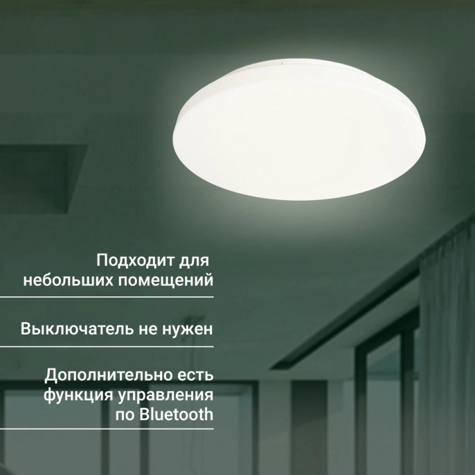 Умный светильник Digma TopLight TL25 потолочный