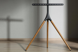 Подставка для телевизора Cactus CS-ST1246BKWN, 45-65", напольный, черный/орех