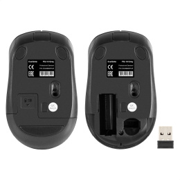 Беспроводная мышь ExeGate Professional Standard FG-10 Grey радиоканал 2,4 ГГц, USB, оптическая, 1200dpi, 4D, 4 кнопки и колесо прокрутки, черная, серая вставка, RTL EX298895RUS