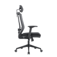 Кресло компьютерное EVOLUTION ERGO BLISS Black