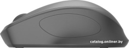 Мышь HP Silent 280M Silent полноразмерная мышь, беспроводная радио, сенсор оптический, 3 кнопки, колесо с нажатием, цвет черный