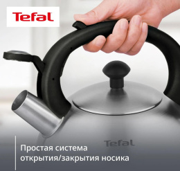 Чайник металлический Tefal Wawe N4210117 2.5л. серебристый 3110602015