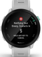 Смарт-часы Garmin Forerunner 55, 42мм, 1.04", белый [010-02562-11]