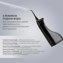 Ирригатор Polaris PWF 0201 цвет:черный