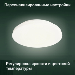 Умный светильник Digma TopLight TL25 потолочный