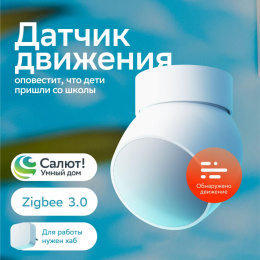 Датчик движения SBER SBDV-00029, белый