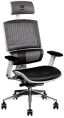 Офисное кресло Thermaltake CyberChair E500 Белый (GGC-EG5-BWLFDM-01) (материал сиденья: сетка, материал спинки: сетка, крестовина: металлическая, максимальная нагрузка: 150 кг, регулируемый наклон спинки, регулировка подголовника, материал подголовника: и