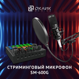 Микрофон проводной Оклик SM-600G 2.5м черный 1796784