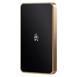 Smartbuy Portable SSD 256GB P5 Pro USB 3.2 champagne SBD256P5CU3C
