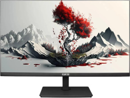 Монитор RDW Computers 23.8" RDW2401K черный IPS 4ms 16:9 HDMI матовая 250cd 178гр/178гр 1920x1080 100Hz VGA DP FHD 4.185кг RUS 2401K/F00В0100V2A1H