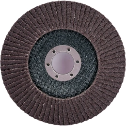 Круг лепестковый (125x22.2 мм; P80) Gigant G-11037