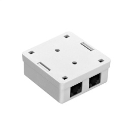 Exegate EX292843RUS Розетка внешняя двойная ExeGate SM2-RJ45-C5 RJ-45 кат.5/5E UTP Krone/110