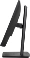 23.8" Монитор Iiyama ProLite XUB2493HSU-B7, 1920x1080, IPS, 100Гц, 1хHDMI, 1хDP, черный