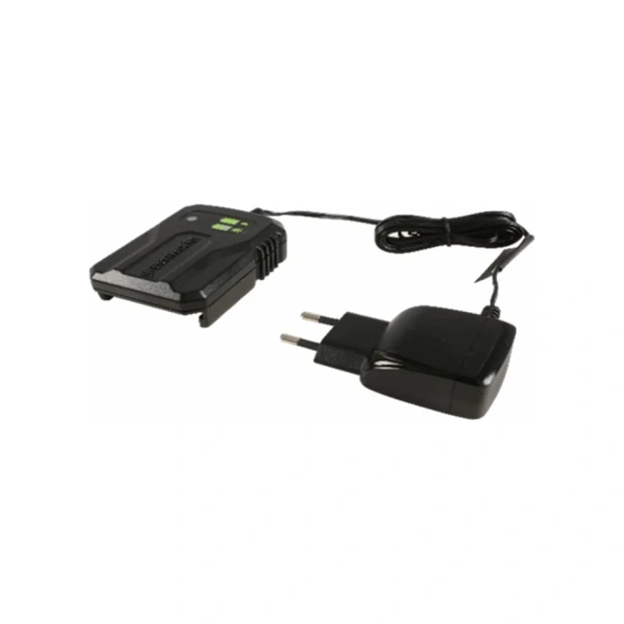 Устройство зарядное G40UCM2M 40 В, 2 A GreenWorks 2946507