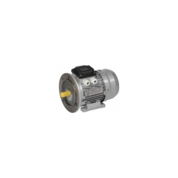 Электрический двигатель IEK 3ф.АИР 63B2 380В 0,55кВт 3000об/мин 2081 DRIVE DRV063-B2-000-5-3020