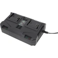 Зарядное устройство TRUEGREEN TG8M250