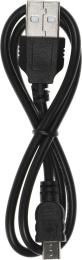 Диктофон Цифровой Ritmix RR-120 4Gb черный