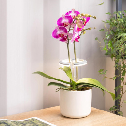 Светильник для растений Cactus Garden, 7.5Вт, белый [cs-led-orchid]