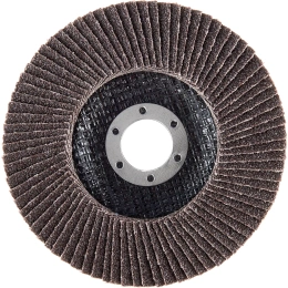 Круг лепестковый (125х22,2 мм; P60) Inforce 11-01-039