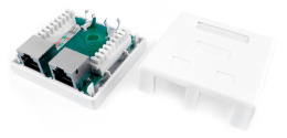 Розетка компьютерная Hyperline SB1-2-8P8C-C6-SH-WH  RJ-45(8P8C), кат 6, экранированная, двойная, внешняя, Dual IDC