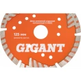 Диск алмазный отрезной сегментный с защитными сект, 125x22,2 мм сухая резка Gigant G-10352
