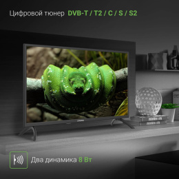 Телевизор LED Digma 32" DM-LED32MBB21 черный HD 60Hz DVB-T DVB-T2 DVB-C DVB-S DVB-S2 USB
