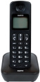 Радиотелефон Sanyo RA-SD53RUBK, черный