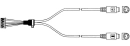 Кабель Advantech 1703060191 A Cable 1*6P-2.0/M-DIN 6P F *2 22cm ('1703060191)