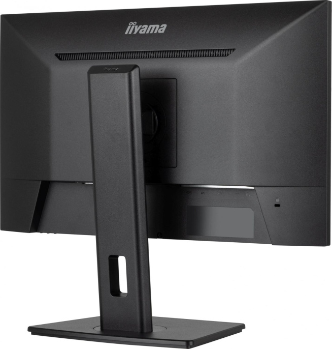 Монитор Iiyama 23.8" ProLite XUB2493HSU-B6 черный IPS LED 1ms 16:9 HDMI M/M матовая HAS Piv 250cd 178гр/178гр 1920x1080 100Hz DP FHD USB 4.6кг
