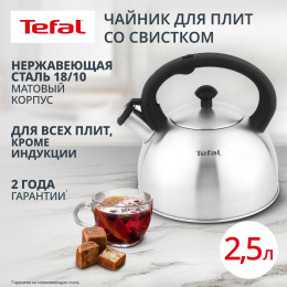 Чайник металлический Tefal Wawe N4210117 2.5л. серебристый 3110602015