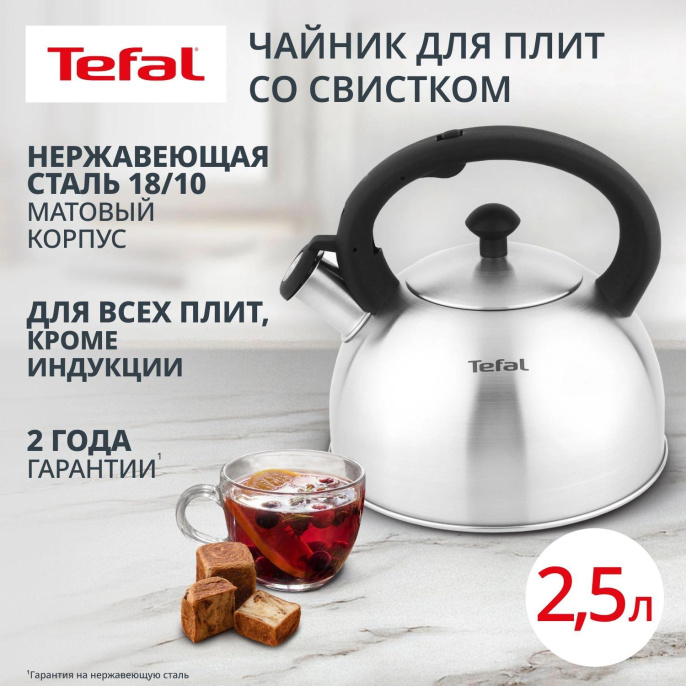 Чайник металлический Tefal Wawe N4210117 2.5л. серебристый 3110602015