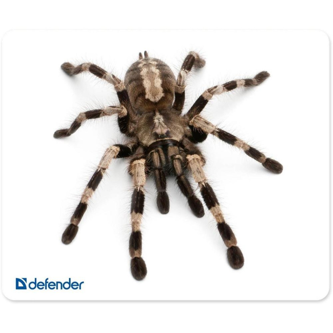 Коврик для мыши Defender Silk (S) рисунок, шелк, 230х190х1.6мм [50706]