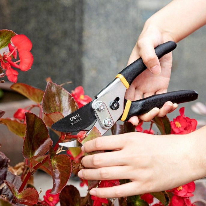 Секатор садовый Deli DL580204 лезвия с тефлоновым покрытием, длина 200мм, макс.диаметр резки 15мм, сталь 55С