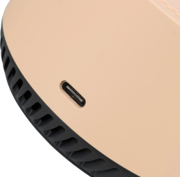 Умная колонка Yandex Станция Лайт Алиса бежевый 5W 1.0 BT 10м YNDX-00025B