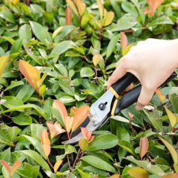 Секатор садовый Deli DL580204 лезвия с тефлоновым покрытием, длина 200мм, макс.диаметр резки 15мм, сталь 55С