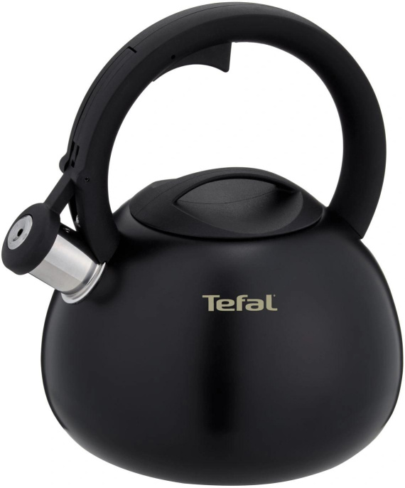 Чайник металлический Tefal Intuition N4180417 2.5л. черный 3110601825