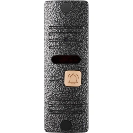 Вызывная панель CTV -D10 Plus цвет серебро 4100155