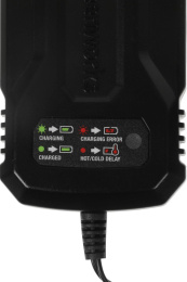 Зарядное устройство Greenworks G40UCM2M 2946507