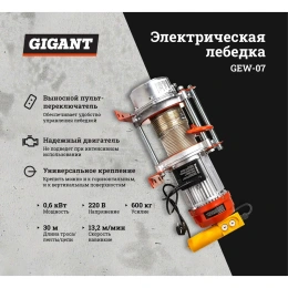 Электрическая лебедка Gigant 300/600 кг, 220 В, 30/15 м, Диаметр троса 6мм, GEW-07