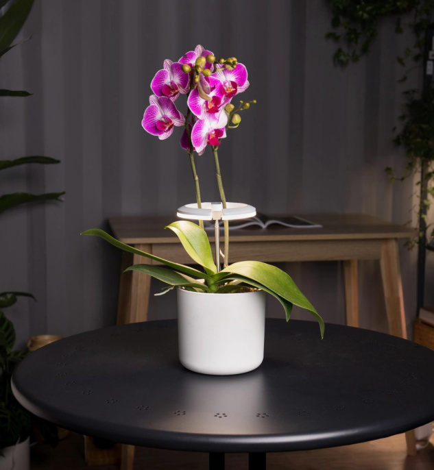 Светильник для растений Cactus Garden, 7.5Вт, белый [cs-led-orchid]