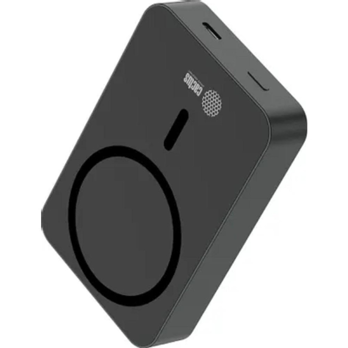 Внешний аккумулятор (Power Bank) Cactus CS-PBFSTA-10000,  10000мAч,  серый