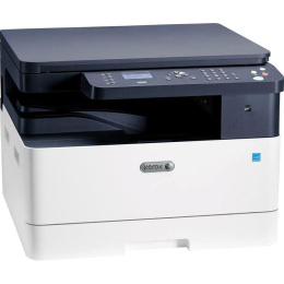 МФУ лазерный Xerox B1025DN B1025V_B A3 Duplex Net белый