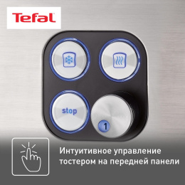 Тостер TEFAL TT420D30, серебристый [8000035884]