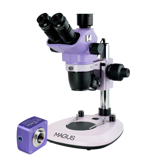 Микроскоп стереоскопический цифровой MAGUS Stereo D8T BASE