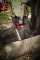 Шина для высотореза Milwaukee M18 FOPH-CSA 10''/25 см (4932480170) (длина цепи: 25 см, толщина: 1.1 мм, шаг цепи: 9.5 мм)