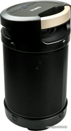 Акустическая портативная колонка Dialog AP-1030 - 4.1, 60W RMS, Bluetooth, FM, Mic In, USB
